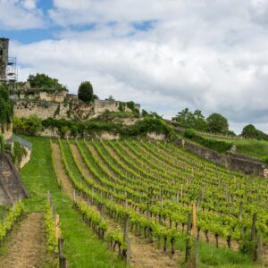 Vinos de Francia